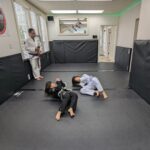 kids bjj